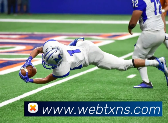 App Interface Preview