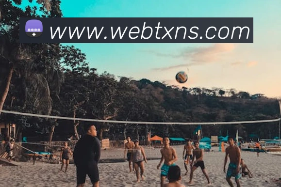 开云在线登录入口官网APP 封面图